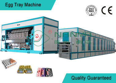 รับประกันเครื่องจักรทำถาดไข่อัตโนมัติที่มีเศษกระดาษ 3000 ~ 6000 ชิ้น / ชั่วโมง