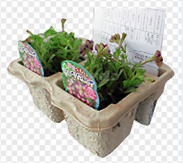 เครื่องจักรบรรจุภัณฑ์กระดาษไข่เยื่อกระดาษด้วยชั้นเดียวแห้งบรรทัด 2800PCS / ชม