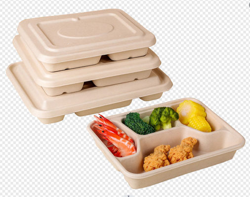 อัตโนมัติอย่างสมบูรณ์แบบ Bagasse ผงกระดาษเครื่องจักรของโต๊ะในผงไม้
