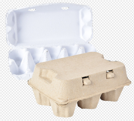 เครื่องผลิตเยื่อกระดาษถาดไข่ต้นไม้เครื่องทำกล่องไข่ Simens