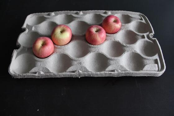 กำลังการผลิตขนาดกลางรีไซเคิลกระดาษเครื่องทำถาดไข่พร้อมเครื่องเป่า