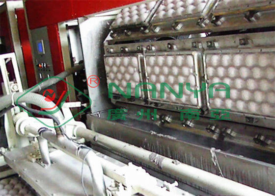 ถาดผลไม้ 250kw ถาดไข่เครื่องทำสูญญากาศดูด 600m2
