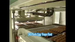 เครื่องปั้นเยื่อกระดาษอัตโนมัติขนาดเล็กสำหรับถาดไข่ / เครื่องถาดไข่ขนาดเล็ก / เครื่องถาดไข่ 30 แพ็ค