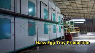 เครื่องทำถาดไข่อัตโนมัติ / การผลิตถาดไข่จำนวนมาก / เครื่องผลิตกล่อง