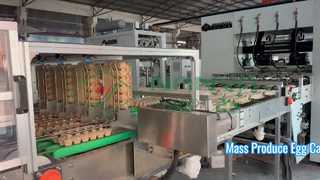 เครื่องทำกล่องไข่อัตโนมัติ / การผลิตถาดไข่จำนวนมาก / เครื่องผลิตกล่อง